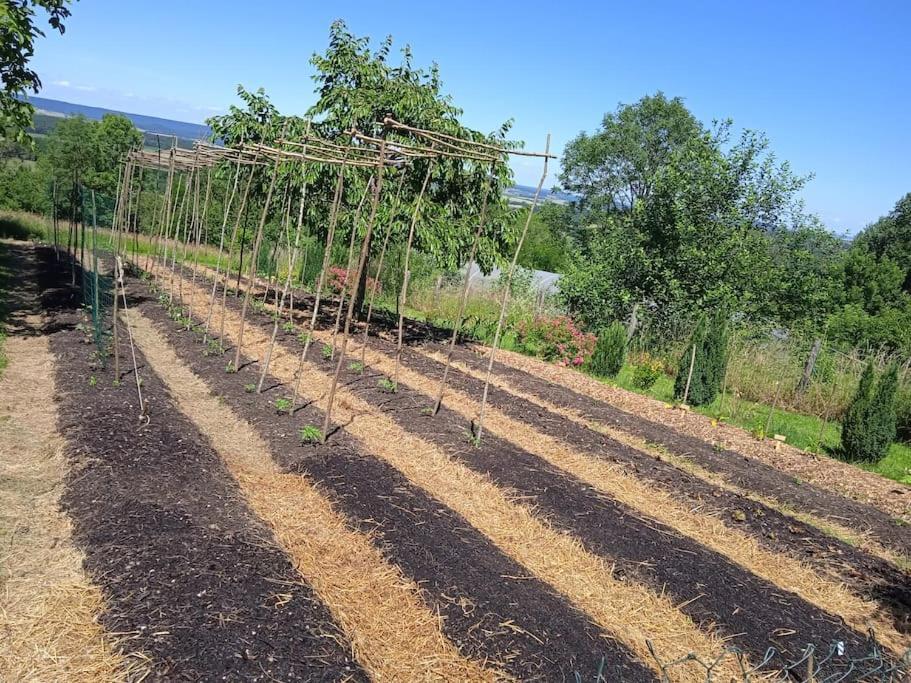 Les Jardins Des 3 Provinces- Gite Montcharvot Exterior photo